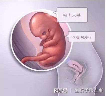 张蓝之主任